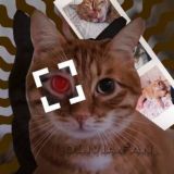 ᴛᴡɪᴛᴄʜ sǫᴜᴀᴅ / Twitch Squad