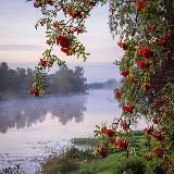 Лес | Жизнь на природе