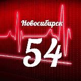 Мониторинг 54 Новосибирская область