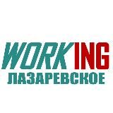 ЛАЗАРЕВСКОЕ Работа