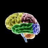 Мозголомка