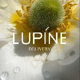 Lupine