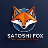 Satoshi Academy