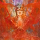 ✨Нина Коляда✨