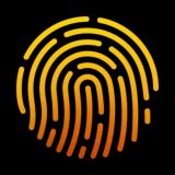 Лабиринт личности