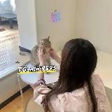 吃魚喝茶新手上路🍵