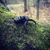 Hobbi_kop | Хобби_коп