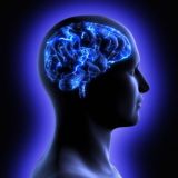 ТАЙНОЕ СООБЩЕСТВО