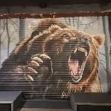 БЕРLOГIN БАР🎸🐾