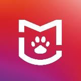 VETLIGA - поставщик ветоборудования