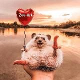 Zoo-Ark | мир пушистиков | домашние и дикие животные