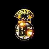 Boston flames Exotics loose / Designer packs