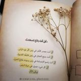 المدرس فارس جقل .. القناة الرئيسية