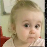 نخبگان انسانی💙😂