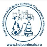 Благотворительный фонд помощи бездомным животным