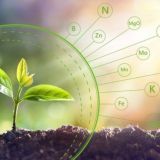 Минерал Ўғит Дўкони™