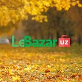 Lebazar GO