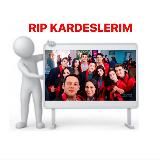 𝙳𝚁𝙴𝙰𝙼𝙺𝙰𝚁𝙳𝙴𝚂