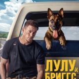 Лулу и Бриггс фильм