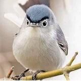 BA memes | made in UA 🇺🇦