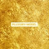pluxury model.