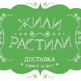 Жили-Растили 🥦🍅