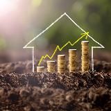 Alex Sharky - Инвестиции в будущее