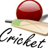 Cricket 11 News
