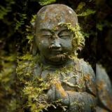 🕸I🕷Buddisti🕸