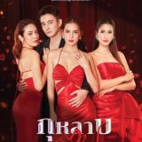 မီးနဲ့ကစားတဲ့နှင်းဆီ (Ash)