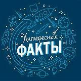 Интересные Факты