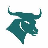 Crypto Whales & Trends 🐋