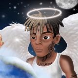 Коста Лакоста 🐊