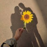 •دوّار الشّمس•🌻