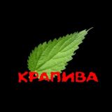Канал Крапива Chat