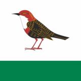 Новости Бирска