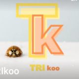 Trikoo