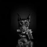 Прогулка по Москве и не только