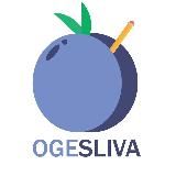 ОТВЕТЫ ОГЭ | OGESLIVA