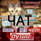 солнце не дарит улыбки чатик