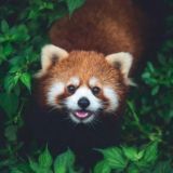 秘密花园㊙️放映厅