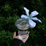 مَـلْـجـأ دافِـئ