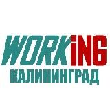 КАЛИНИНГРАД Работа