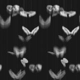 ʇɐɥɔ ᴉlɹɐʞᴉɹǝz