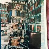 كتب الشيخ محمد ناصر الدين الألباني