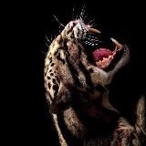 KST.clo🧥Новый дроп