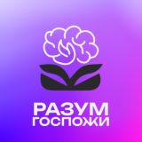 Разум Госпожи