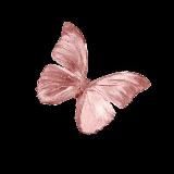 Rasmlar va videolar😉