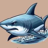 Sol. eth.Ton Bsc all ☎️