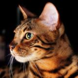 🟠Заработок на заданиях🟠